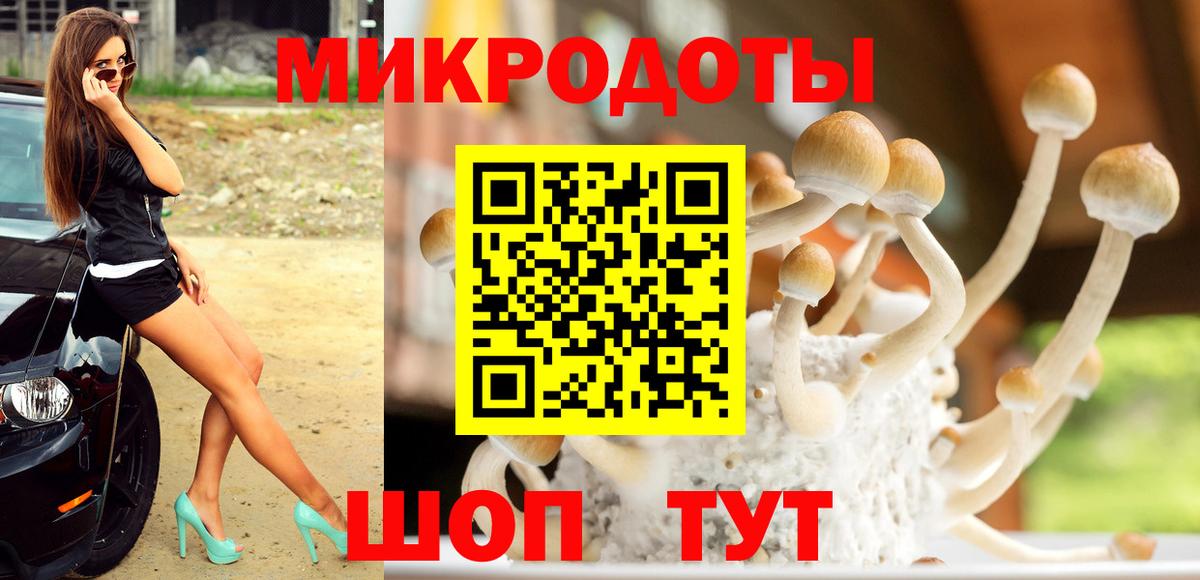 Псилоцибиновые грибы MAGIC MUSHROOMS Заволжье