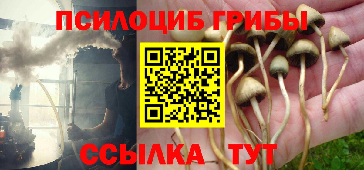 Заволжье  Псилоцибиновые грибы мухоморы  Вход с VPN 